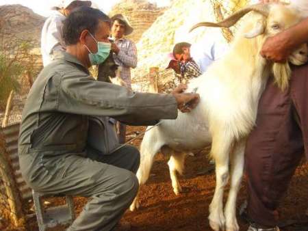 واکسینه
