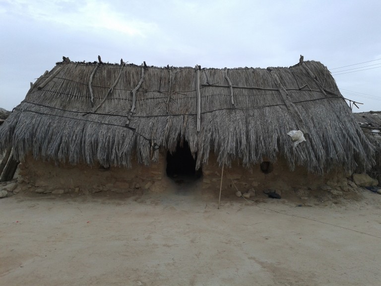 پاگلی
