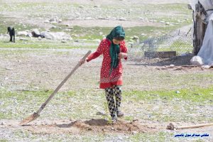 کاشت نهال در منطقه عشایری دشتی
