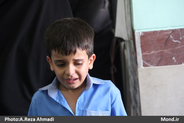 زنگ شکوفه ها در شهر کاکی