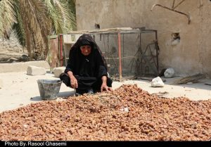 مستند دی رسول