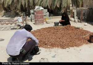 مستند دی رسول