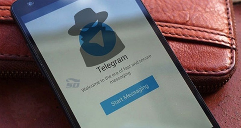 تلگرام بوشهری ها توسط برادر و خواهر شیرازی هک شد
